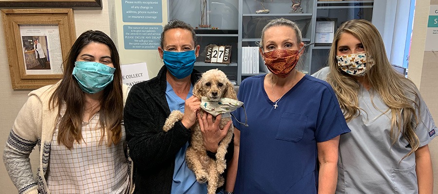 Dental team members in face mask with dog
